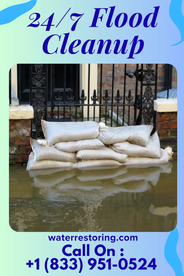 24/7 Flood Cleanup in Crystal Springs, MS