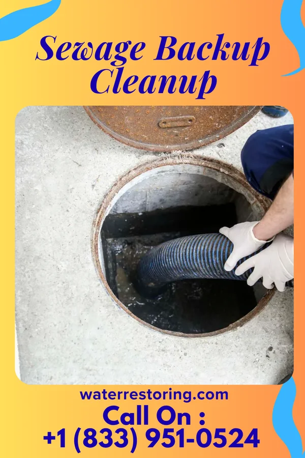 Sewage Backup Cleanup in Crystal Springs, MS