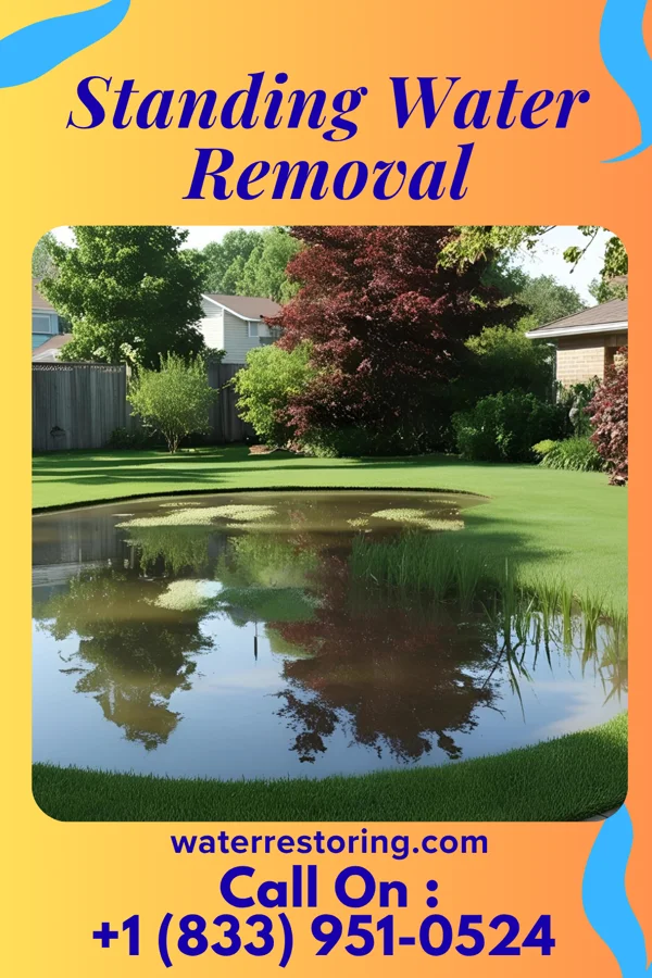 Standing Water Removal in Crystal Springs, MS